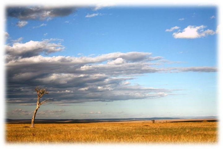 【活动通知】10月23日讲座｜赵忆宁首席记者：本世纪的中国与非洲