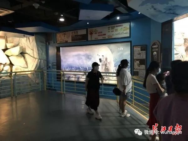 武汉极地海昌海洋世界攻略_武汉海昌极地海洋世界_武汉极地海昌海洋世界地址