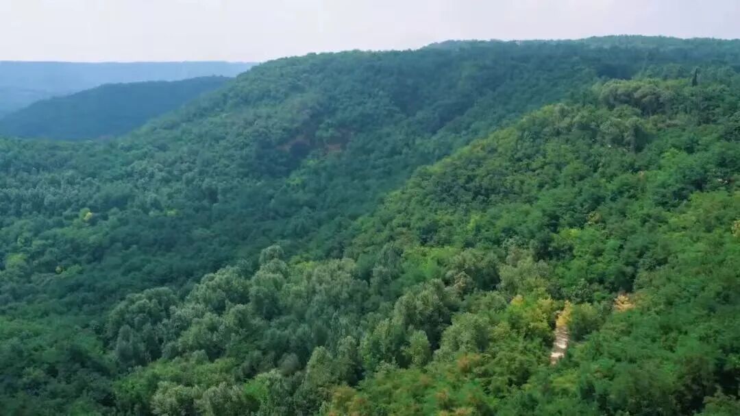 c1bfdbe7be5af1df65e9a4cd7152cb64.jpg