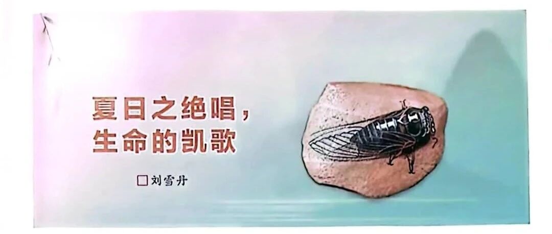 【青春语文·雪丹专栏】夏日之绝唱  生命的凯歌