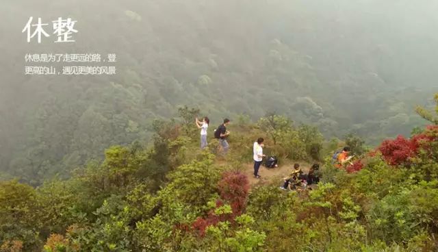 (8)2.17 登广州第二高峰-鸡枕山-户外活动图-驼铃网