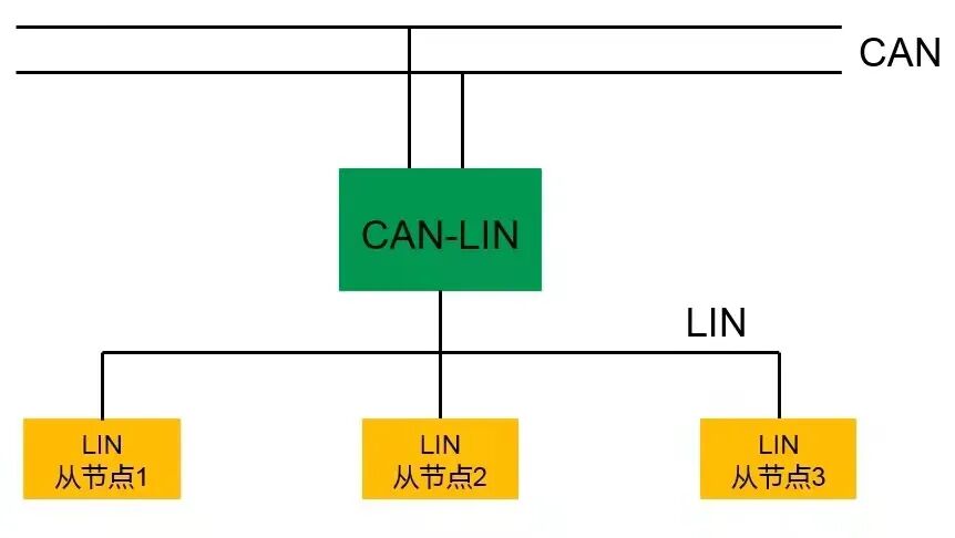 LIN-2.jpg