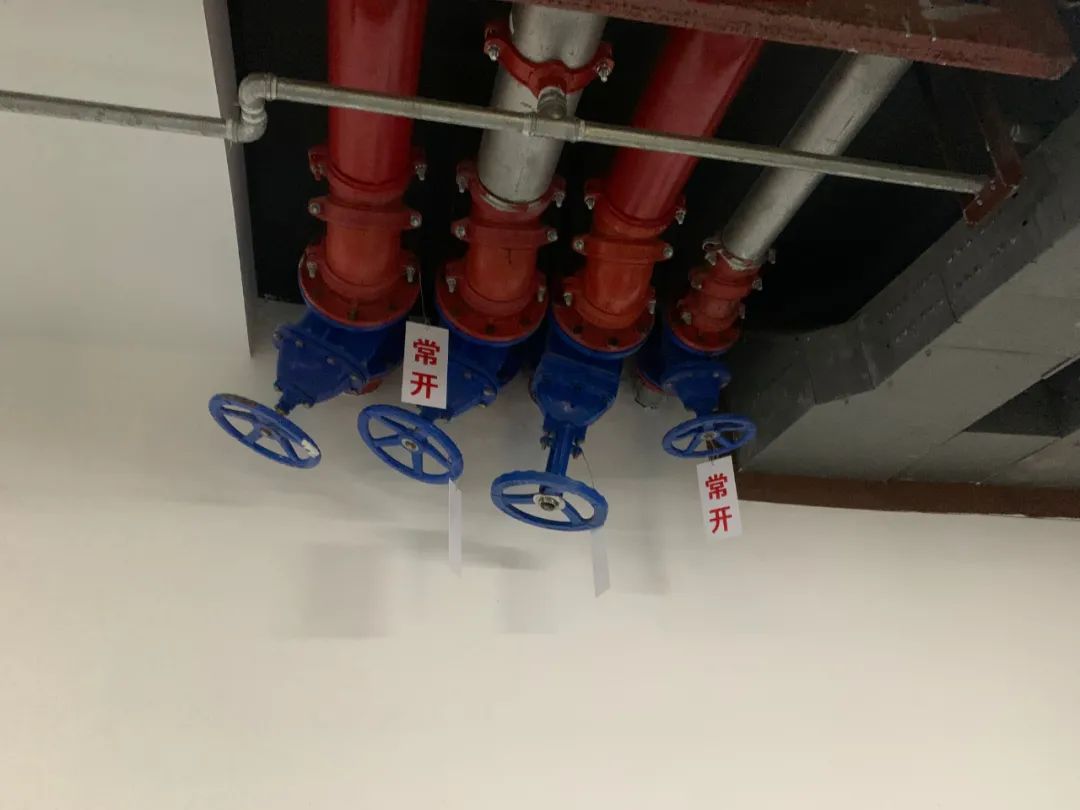 蘑菇裝修用戶(hù)合伙人招募 免費裝修還能順手賺錢(qián)_全裝修_青島文具店裝修,青島玩具店裝修