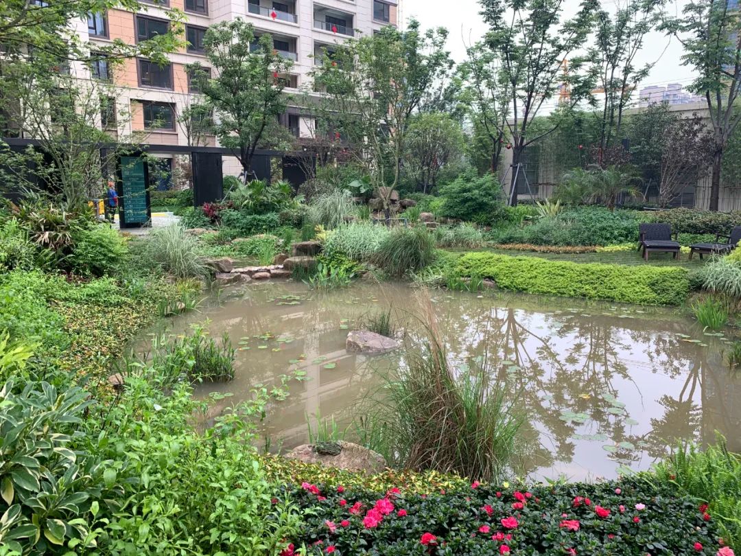 青島文具店裝修,青島玩具店裝修_全裝修_蘑菇裝修用戶(hù)合伙人招募 免費裝修還能順手賺錢(qián)