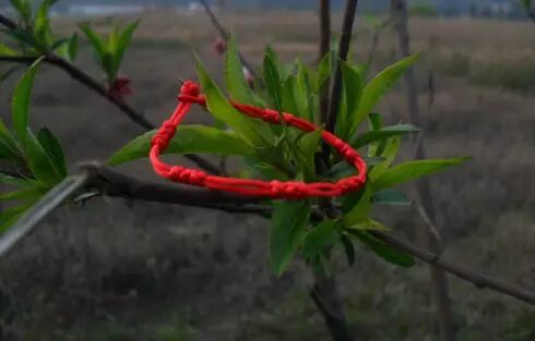 640?wx_fmt=jpeg&wxfrom=5&wx_lazy=1