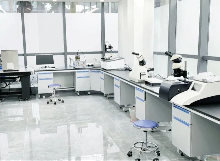 年終回顧 | 領(lǐng)拓2024年大事記