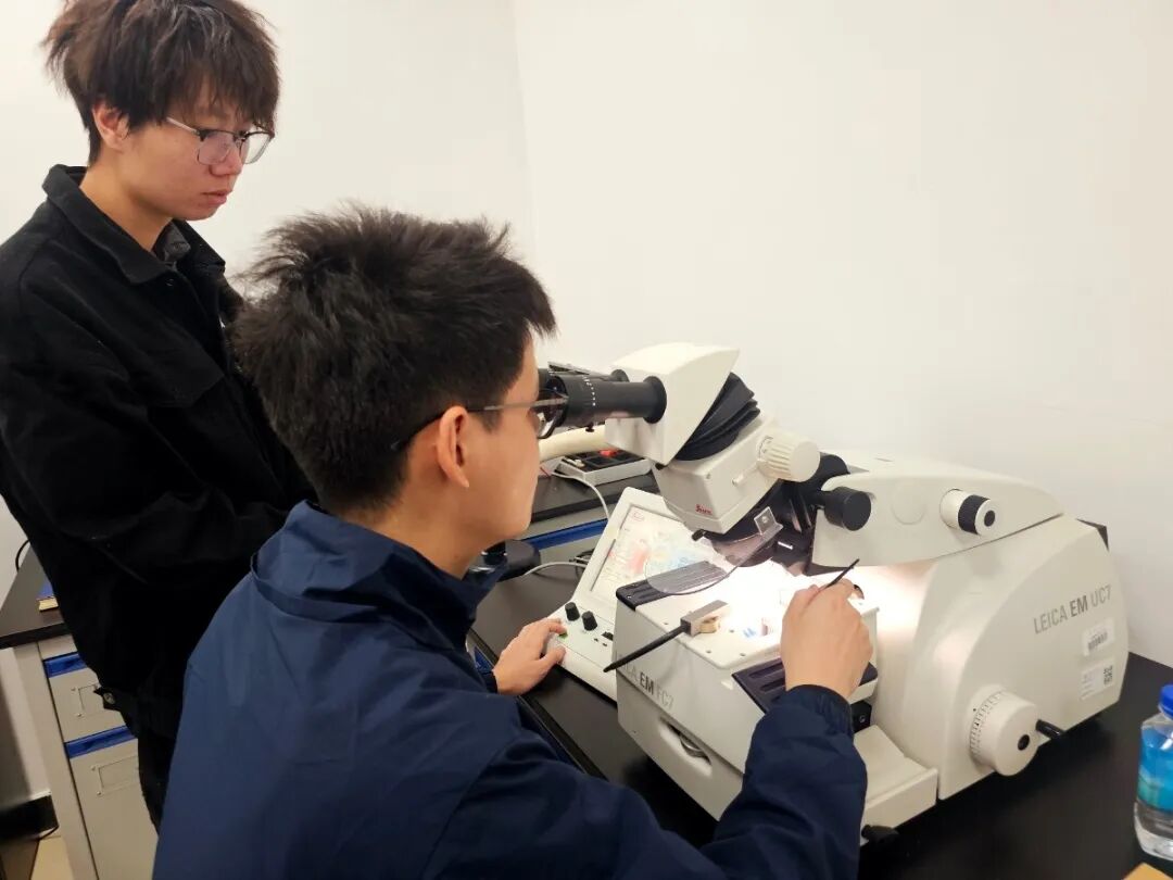 領(lǐng)拓聚焦 | 徠卡先進(jìn)電鏡制樣技術(shù)及應(yīng)用交流會(huì)