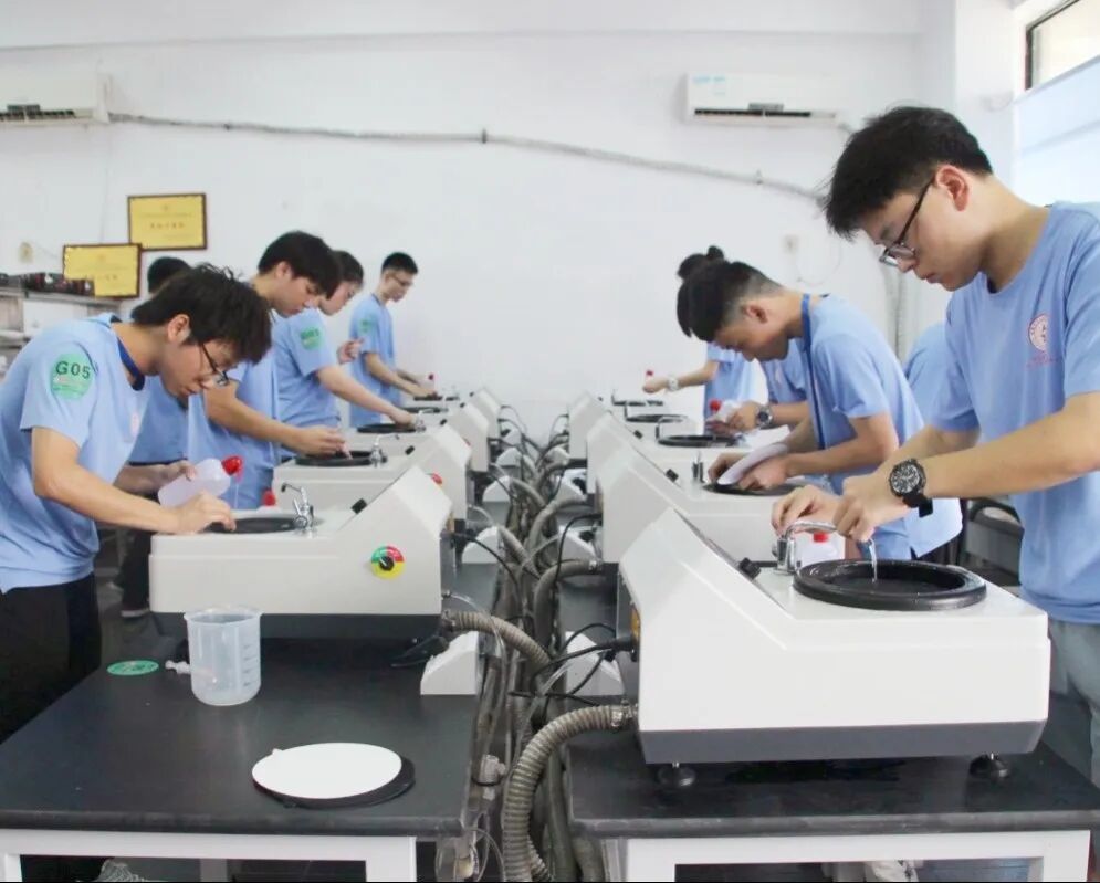 年終回顧 | 領(lǐng)拓2024年大事記