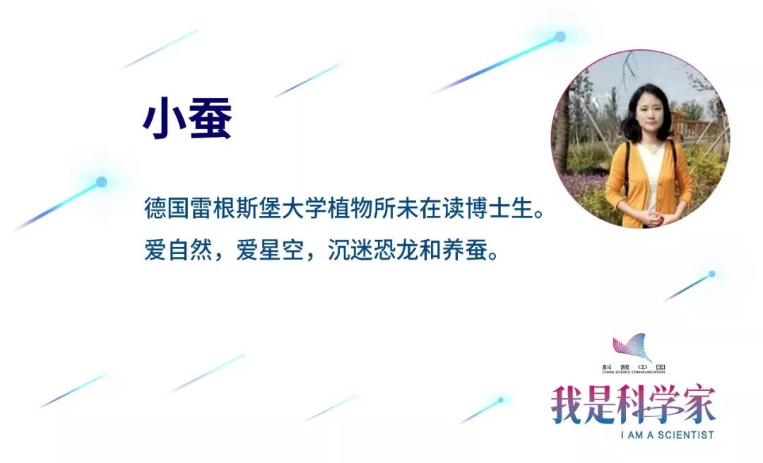 經歷了恐怖的核污染，這裡竟成了野生動物的「天堂」？ 靈異 第12張