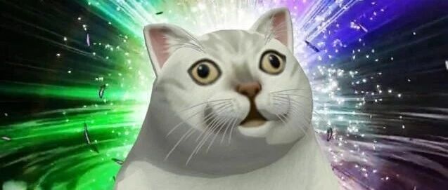 猫咪有19种叫声？来自人猫沟通学的研究