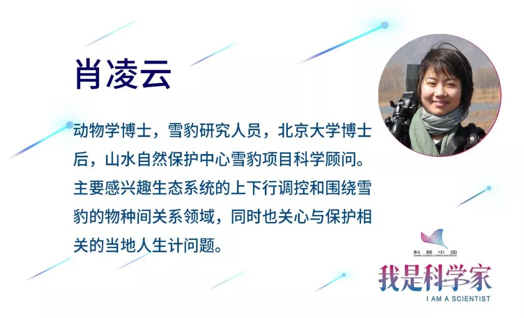 与狼同行游侠乱码_我们身边的狼游侠_只狼游侠