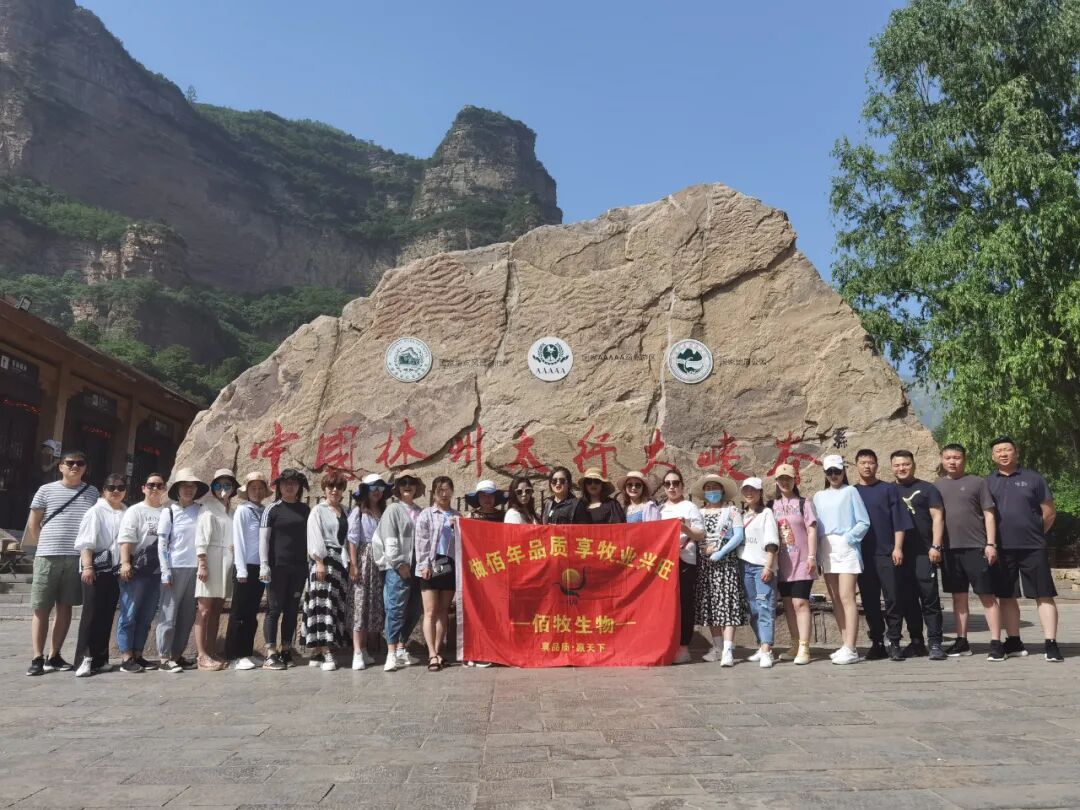 太行山77.jpg