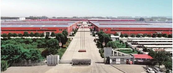 东威占据半壁江山，夯实领导者地位！