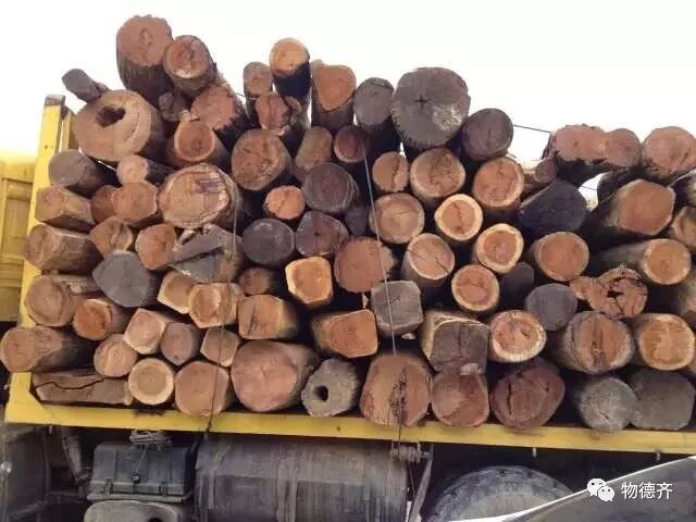 教你买到真缅花，拒绝再上当