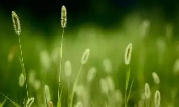 独特的人格魅力，使你在人群中脱颖而出。