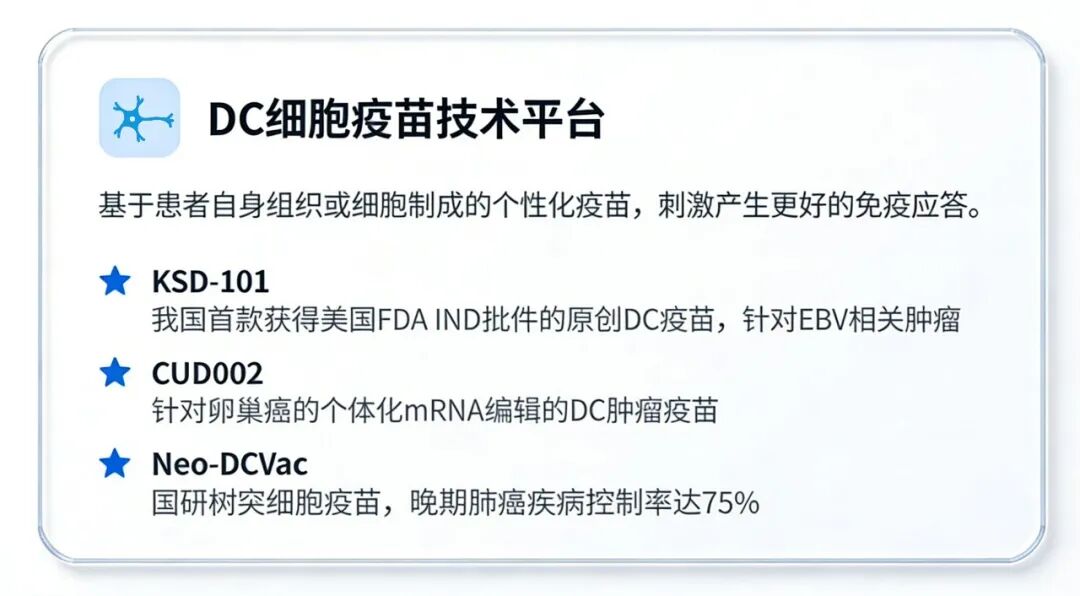 DC细胞.jpg