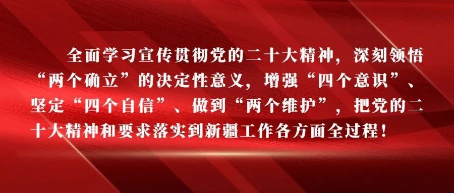 网络创业培训助力就业创业-首码网-网上创业赚钱首码项目发布推广平台