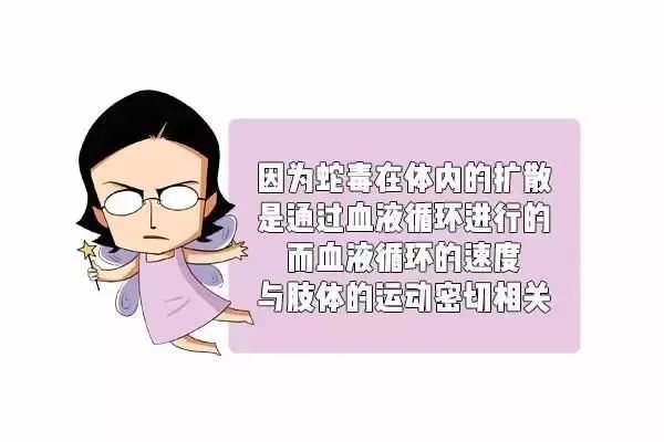 王先生【小心】男子山上施工被竹叶青咬中！这个错误动作，差点引蛇二度攻击！