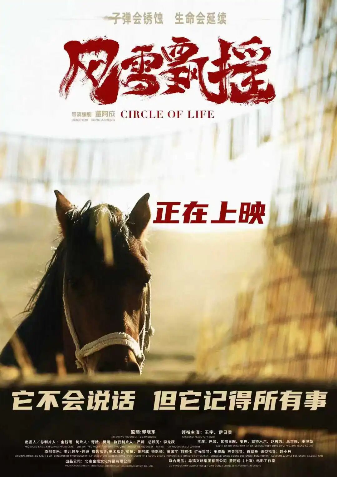 《风雪飘摇》观影活动成功举办 第2张