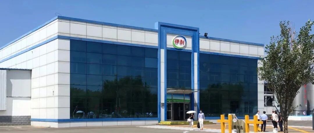 解读伊利：一份增长的财报与股价波动