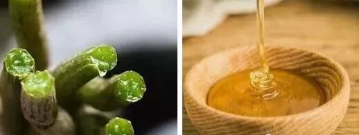 关于便秘的验方