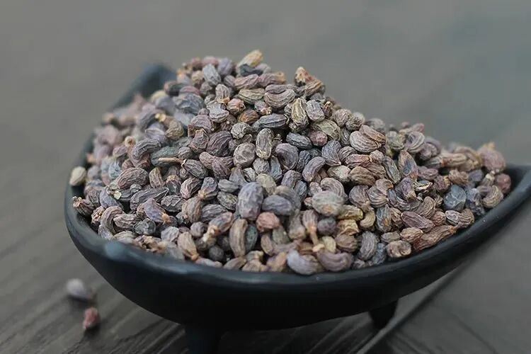 一个妙方既能治白发又能治手抖还能治腰膝疼痛