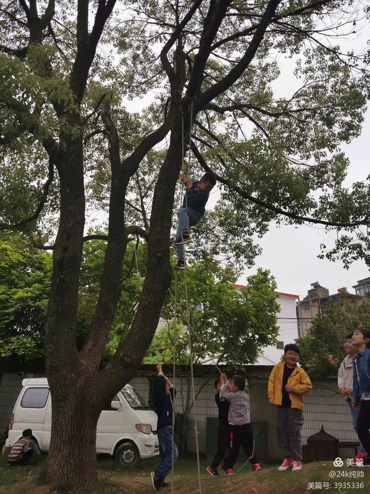 晨间锻炼的意义与作用_优质晨间锻炼分享经验_晨间锻炼方案