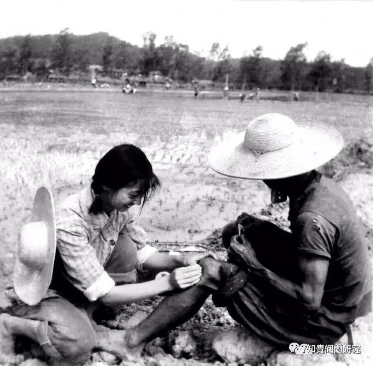 知青上山下乡对中国经济社会发展的作用和意义