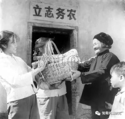 知青上山下乡对中国经济社会发展的作用和意义