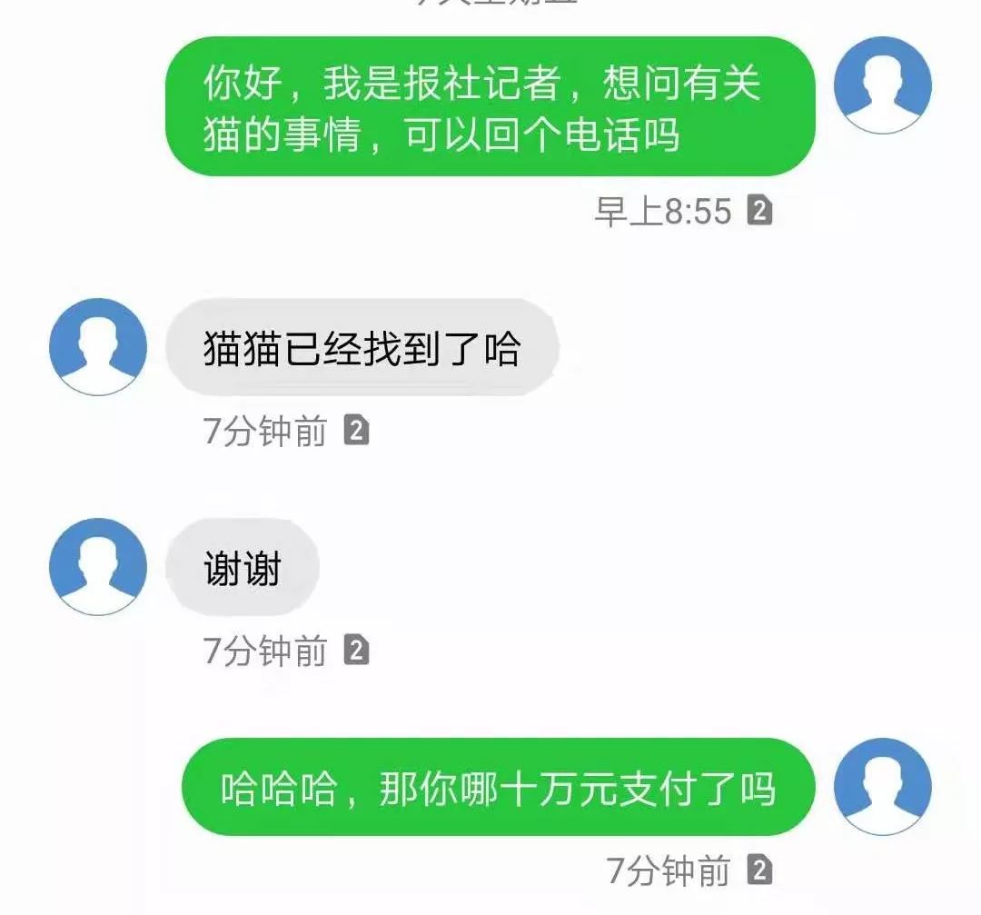 懸賞10萬元！貴州有人大手筆尋貓？真相卻是...... 寵物 第8張