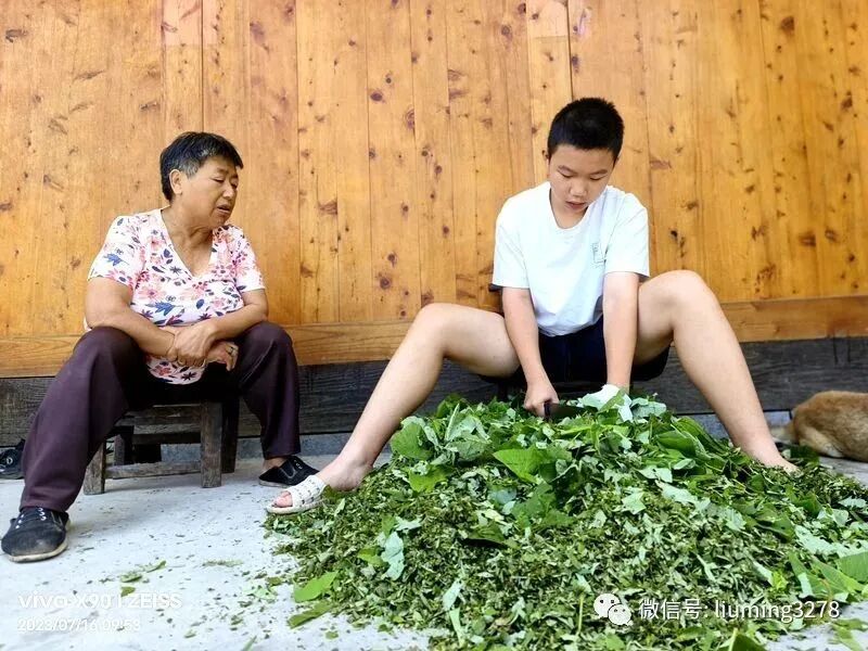 鸡掰是什么意思_鸡掰啥意思_鸡掰是什么方言
