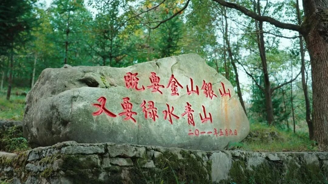 赏花漂流品茗接下来几个月来贵定打卡吧