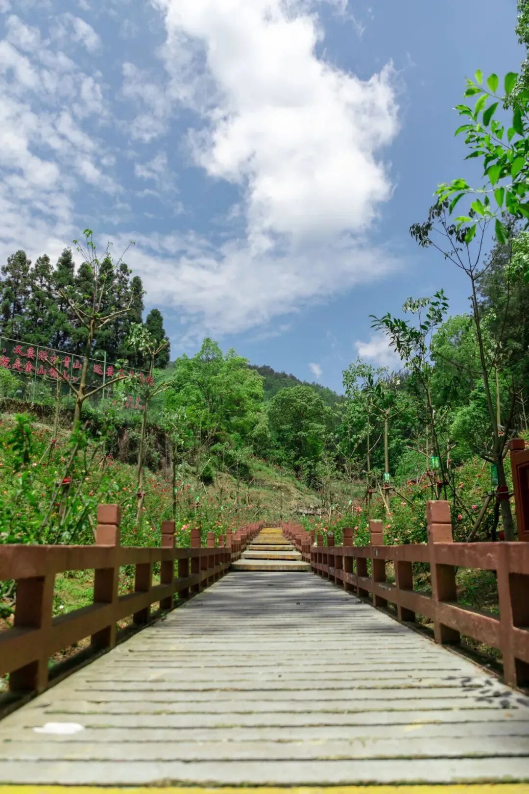 赏花漂流品茗接下来几个月来贵定打卡吧