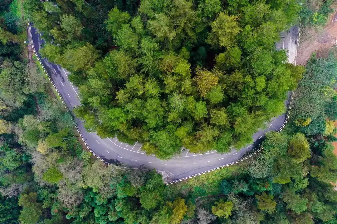 赏花漂流品茗接下来几个月来贵定打卡吧