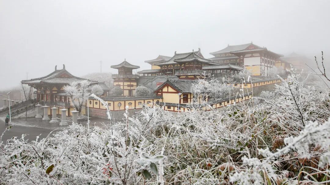 贵定阳宝山迎来今年入冬后首场雾凇景观多图奇妙震撼