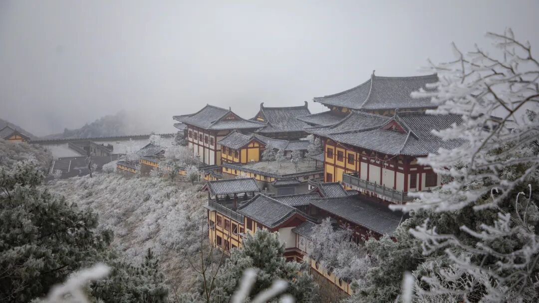 贵定阳宝山迎来今年入冬后首场雾凇景观多图奇妙震撼