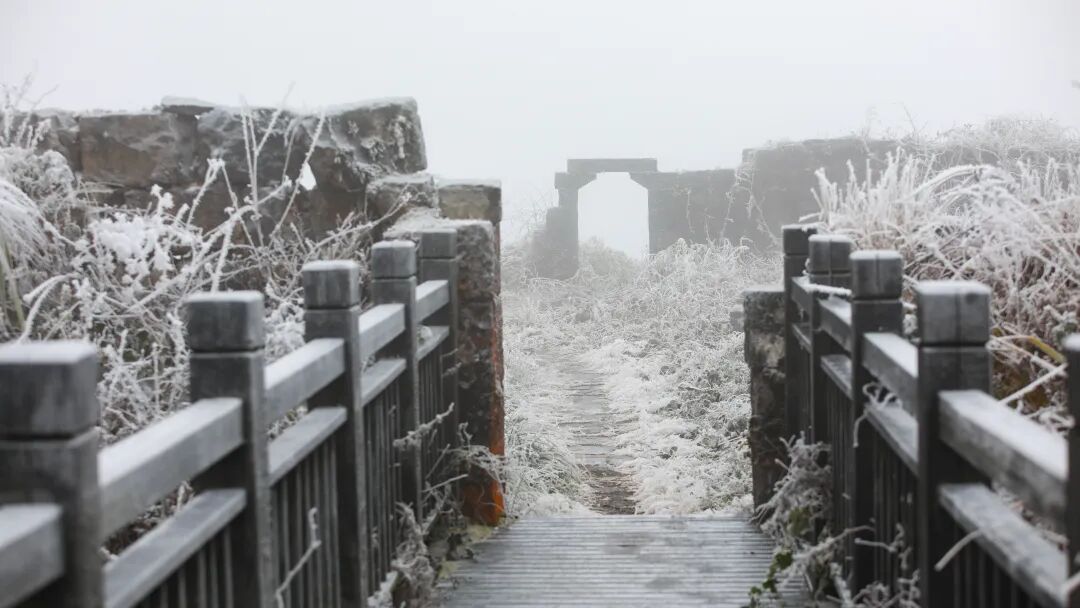 贵定阳宝山迎来今年入冬后首场雾凇景观多图奇妙震撼