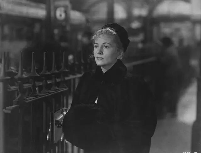 一个陌生女人的来信女人的性格_一封陌生女人的来信_一个陌生来信的女人