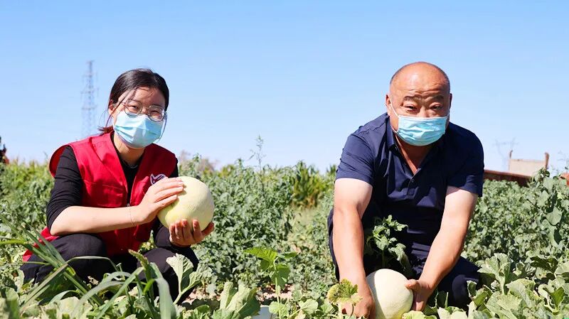 “欢迎大家来品尝我们这里的喀纳斯蜜瓜。”守在窝依莫克镇托库木特村瓜摊的瓜农们，一边吆喝着，一边切瓜、装瓜，忙得不亦乐乎。