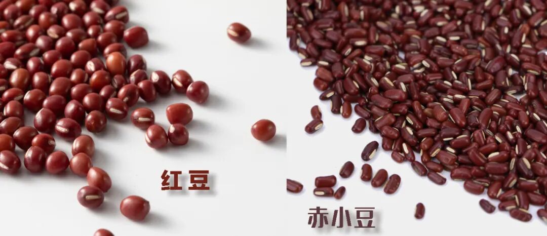 但如果是汤药里专门提到赤小豆,就一定要用赤小豆,否则效果可能不给力