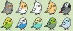 12种鸟类代表12种不同的人格，看看你会是哪种鸟类？