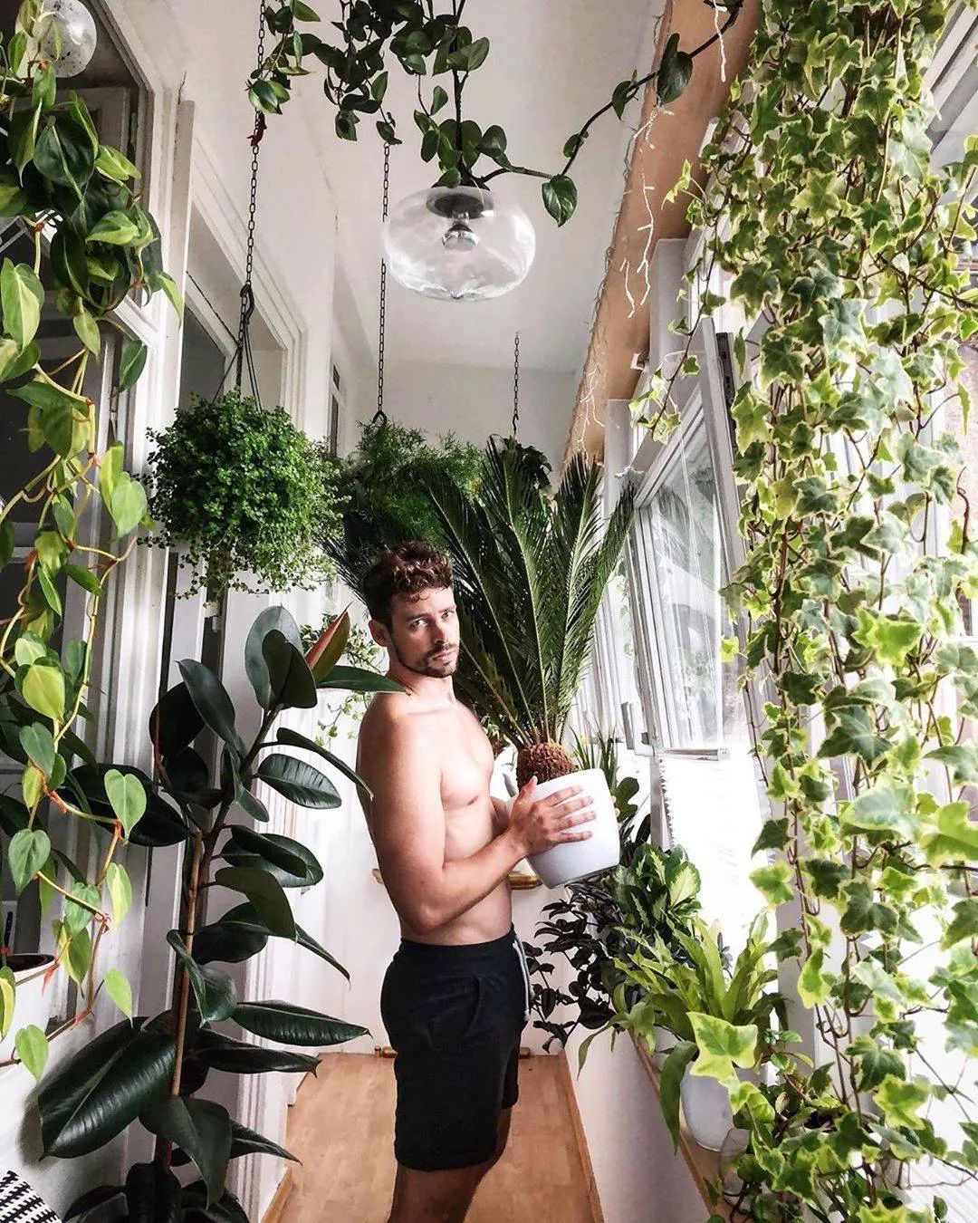 植物系的男生，最迷人！
