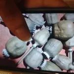 打着卖药的旗号“贩毒”?罂粟壳藏身中药材集散地,多流向小吃市场,十余年屡禁不止!