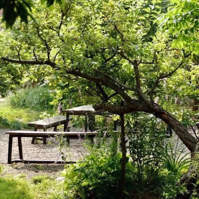 城里160㎡的房不住，一家三口跑到郊区，换了个1500㎡的院子，还有超大果园！