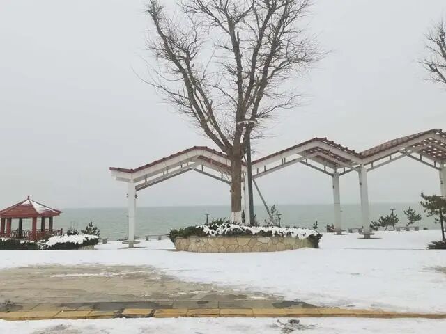 以高端交友为名开发运营黄色网站，烟台五人被判刑！