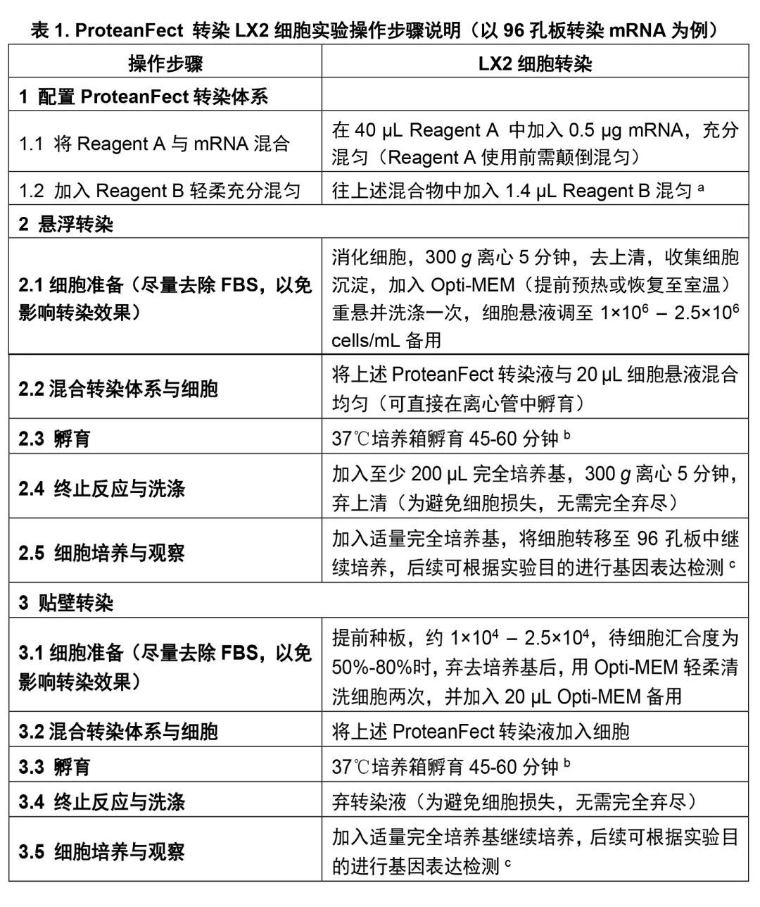 ProteanFect貼壁細胞轉染攻略|LX2轉染操作protocol