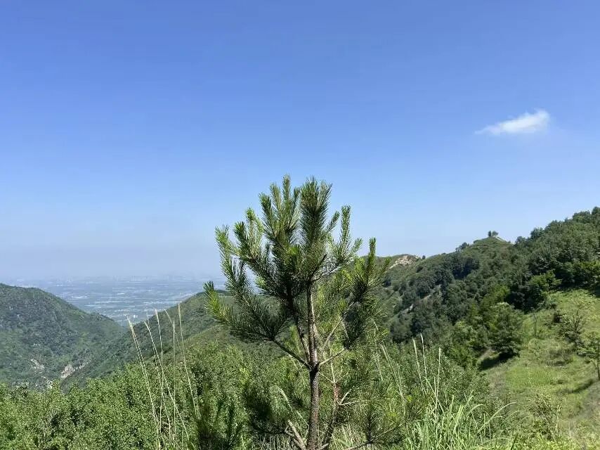仅此而已815