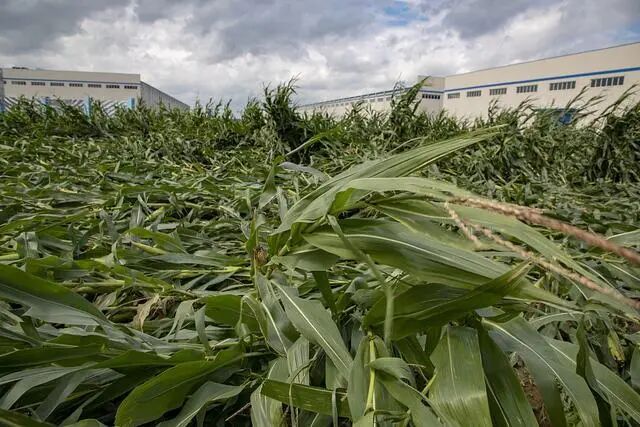 640?wx_fmt=jpeg&tp=webp&wxfrom=5&wx_lazy=1&wx_co=1