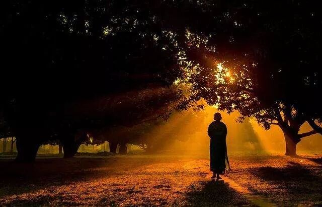 640?wx_fmt=jpeg&tp=webp&wxfrom=5&wx_lazy=1&wx_co=1