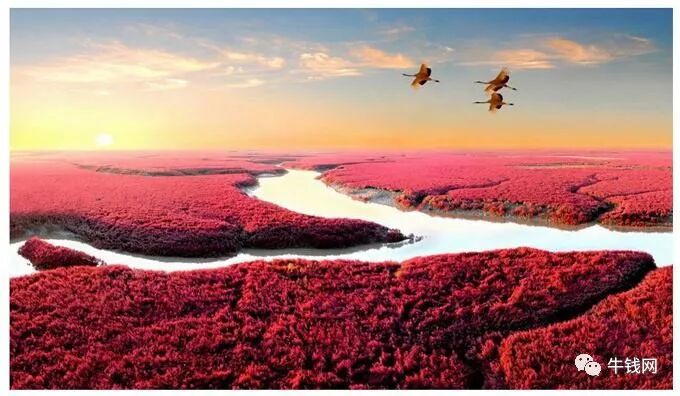 640?wx_fmt=jpeg&tp=webp&wxfrom=5&wx_lazy=1&wx_co=1